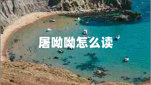 屠呦呦怎么讀 屠呦呦怎么讀