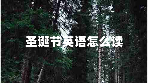 圣誕節(jié)英語怎么讀