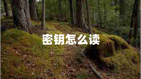 密鑰怎么讀