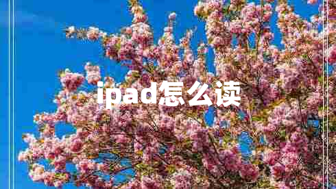 ipad怎么讀