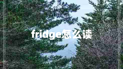 fridge怎么讀