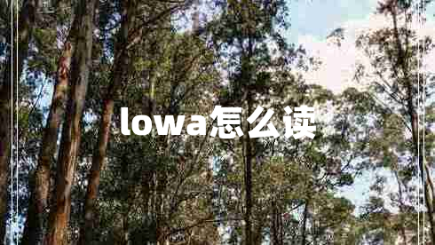 lowa怎么讀 lowa怎么讀