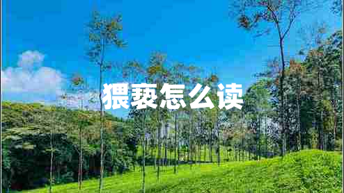 猥褻怎么讀 猥褻怎么讀