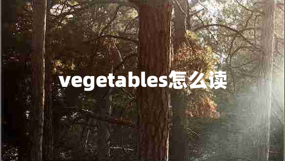 vegetables怎么讀