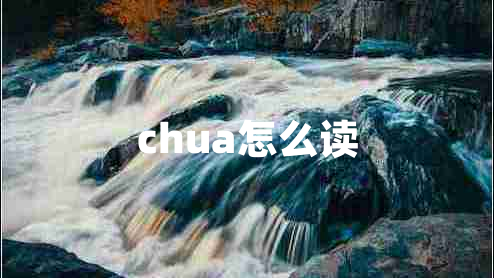 chua怎么讀