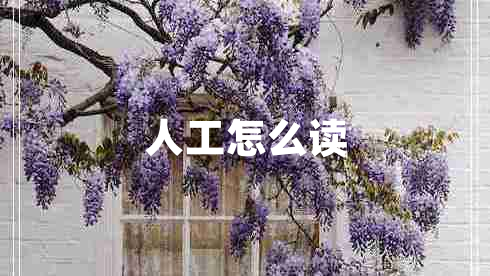 人工怎么讀