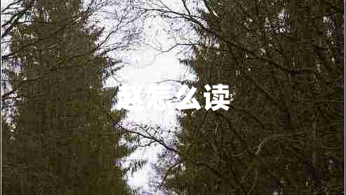 趙怎么讀 趙怎么讀