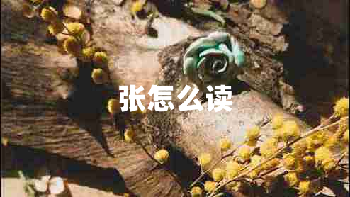 張?jiān)趺醋x 張?jiān)趺醋x