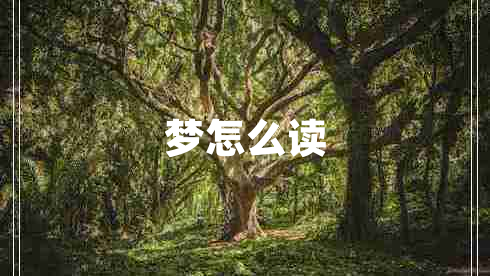 夢(mèng)怎么讀