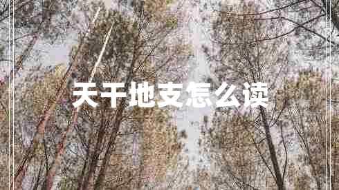 天干地支怎么讀
