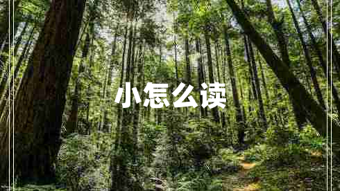 小怎么讀