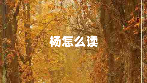 楊怎么讀