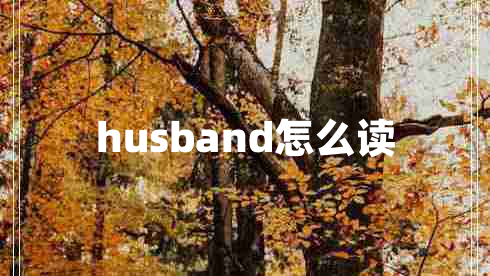 husband怎么讀