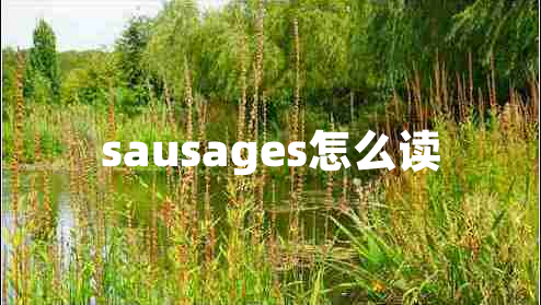 sausages怎么讀