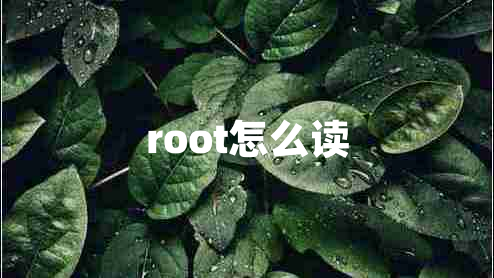 root怎么讀 root怎么讀