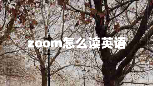 zoom怎么讀英語 zoom怎么讀英語