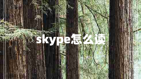 skype怎么讀