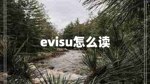 evisu怎么讀 evisu怎么讀