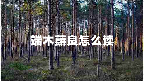 端木蕻良怎么讀 端木蕻良怎么讀