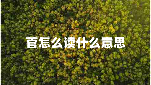 菅怎么讀什么意思 菅怎么讀什么意思