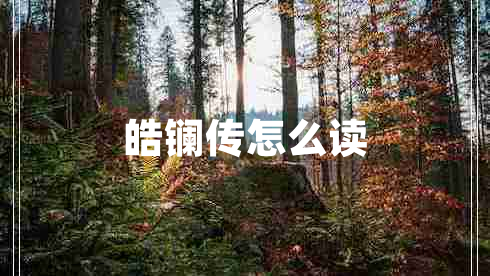 皓鑭傳怎么讀 皓鑭傳怎么讀