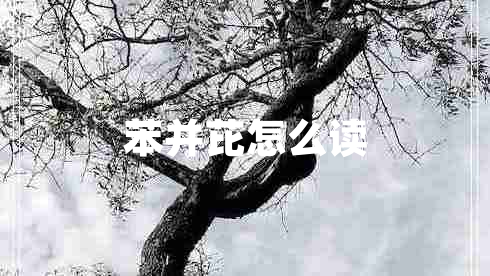 苯并芘怎么讀 苯并芘怎么讀