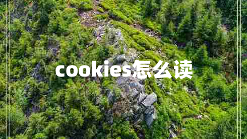 cookies怎么讀