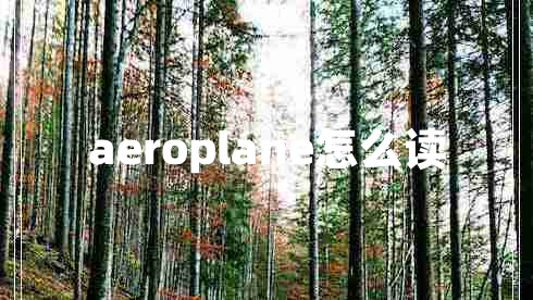 aeroplane怎么讀