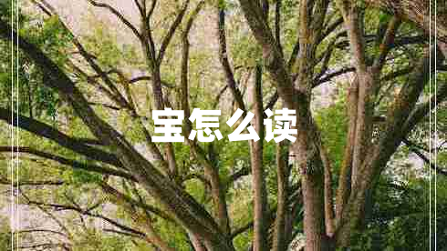 寶怎么讀