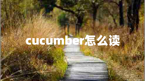cucumber怎么讀 cucumber怎么讀