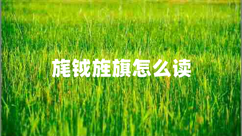 旄鉞旌旗怎么讀