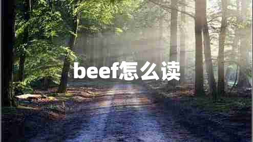 beef怎么讀