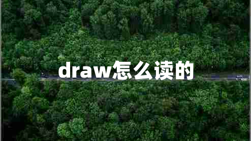 draw怎么讀的