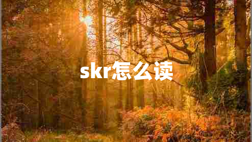skr怎么讀