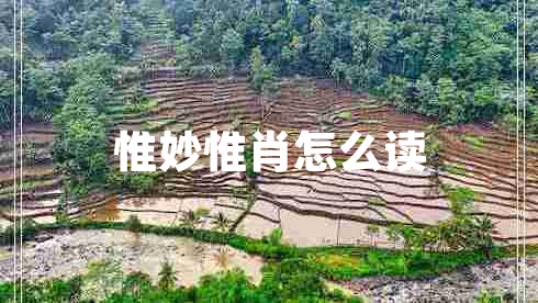 惟妙惟肖怎么讀