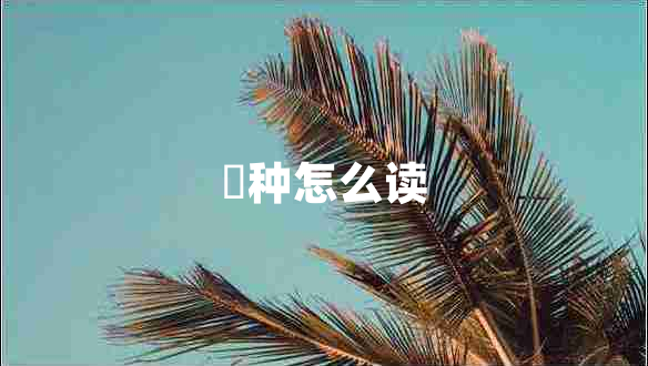 喰種怎么讀 喰種怎么讀