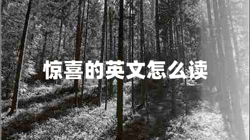 驚喜的英文怎么讀