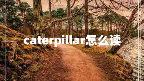 caterpillar怎么讀 caterpillar怎么讀