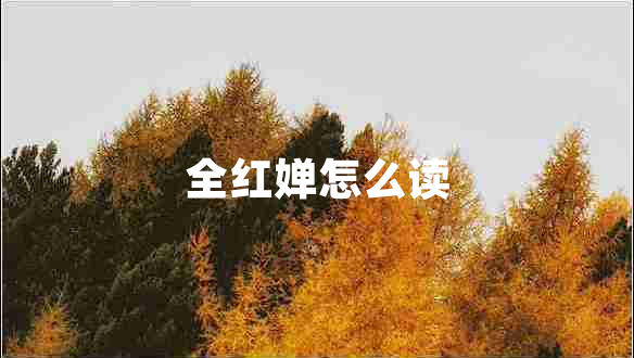 全紅嬋怎么讀