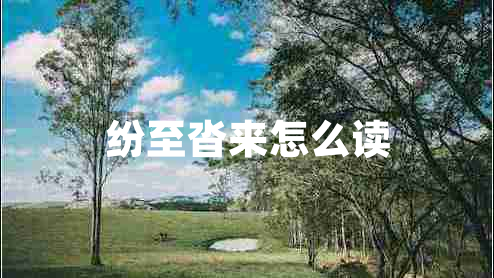 紛至沓來(lái)怎么讀