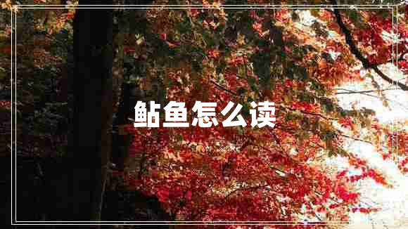 鲇魚(yú)怎么讀