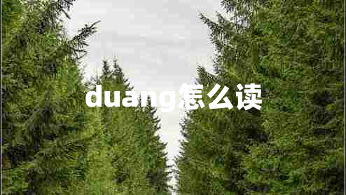 duang怎么讀