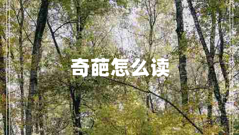 奇葩怎么讀 奇葩怎么讀