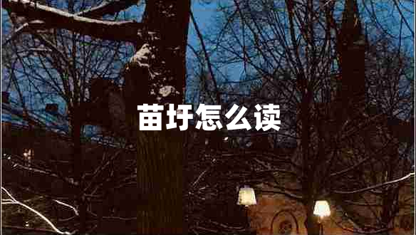 苗圩怎么讀 苗圩怎么讀