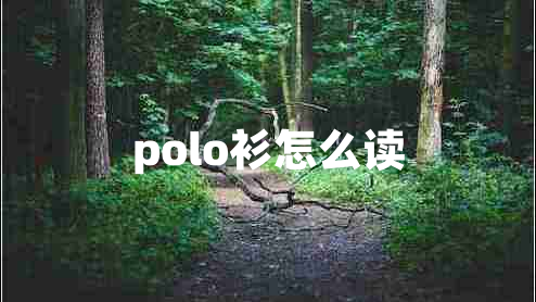 polo衫怎么讀 polo衫怎么讀
