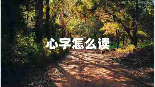 心字怎么讀