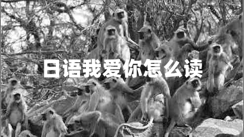 日語我愛你怎么讀