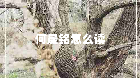 何晟銘怎么讀