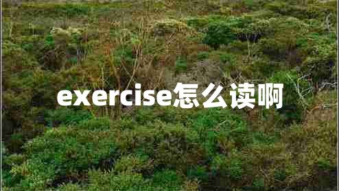 exercise怎么讀啊