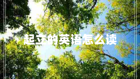 起立的英語怎么讀